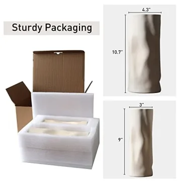 Abbittar Ceramic Vase Set for Elegant Home Decor