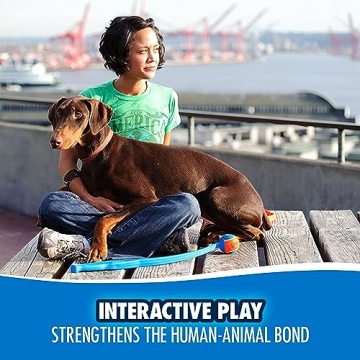 Discover ChuckIt! Sport 18M Dog Ball Launcher for Fun Fetch