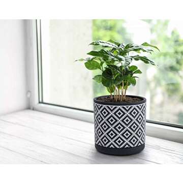 D'vine Dev Set of 2 Terracotta Pots, Geometric Pattern Planter Pot, 4 Inch and 6 Inch, Pot with Drainage Hole and Saucer, Black/White, 31-958-J-5