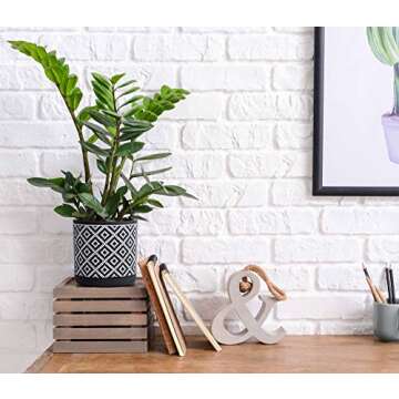 D'vine Dev Set of 2 Terracotta Pots, Geometric Pattern Planter Pot, 4 Inch and 6 Inch, Pot with Drainage Hole and Saucer, Black/White, 31-958-J-5