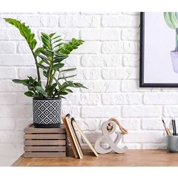 D'vine Dev Set of 2 Terracotta Pots, Geometric Pattern Planter Pot, 4 Inch and 6 Inch, Pot with Drainage Hole and Saucer, Black/White, 31-958-J-5