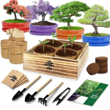 Bonsai Tree Kit, Bonsai Starter Kit with 4 Bonsai Tree Seeds, Tools & Planters, Bonsai Tree Live Pla...
