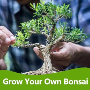 Bonsai Tree Kit, Bonsai Starter Kit with 4 Bonsai Tree Seeds, Tools & Planters, Bonsai Tree Live Plants Indoor, Gardening Gifts for Women Men Mom Father Plant Lover, Unique Christmas Gifts