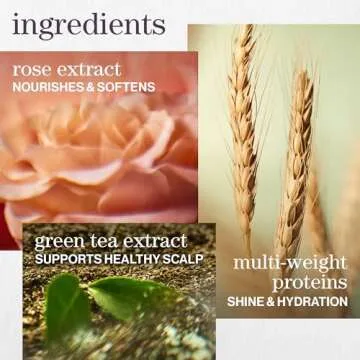 Pureology. Hydrate Moisturizing Shampoo | For Medium to Thick Dry, Color Treated Hair | Sulfate-Free | Vegan