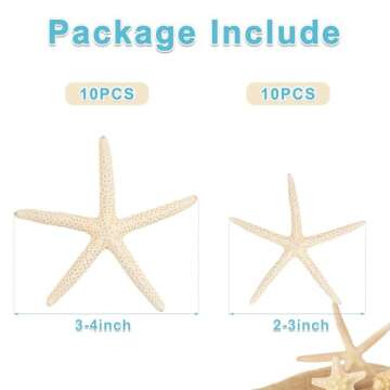 20 PCS Small Starfish for Crafts 2" to 4" Natural Starfish Decor Bulk, for Wedding Beach Theme Decor...