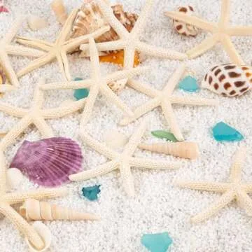 20 PCS Small Starfish for Crafts 2" to 4" Natural Starfish Decor Bulk, for Wedding Beach Theme Decor Home DIY Crafts Decor Christmas Tree Starfish Ornaments
