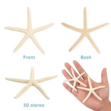 20 PCS Small Starfish for Crafts 2" to 4" Natural Starfish Decor Bulk, for Wedding Beach Theme Decor Home DIY Crafts Decor Christmas Tree Starfish Ornaments
