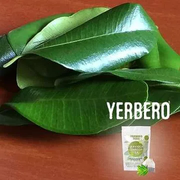 Yerbero - Whole Dried Graviola Soursop Leaves (4 oz - 330+ Leaves Per Bag) Hoja De Guanabana, 100% All Natural Delicious Fresh Tea | From Mexico | Premium Wildcrafted Quality.