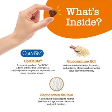 Zesty Paws Hip and Joint Supplement for Dogs – 90 Count