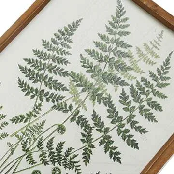 NIKKY HOME Botanical Plant Prints Framed - 20" x 14" Fern Pictures Art Wall Decor - Vintage Look with Real Wood Frames