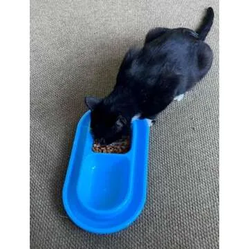 Ant Away Cat Dog Pet Food Bowl for Ant Prevention