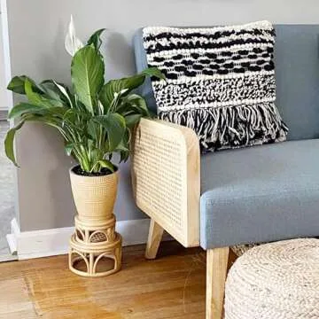 Set of 2 Small Boho Rattan Wicker Round Riser Plant Stand Indoor,Rustic Farmhouse Natural Wooden Circle Pedestal for Decor & Display, Tabletop, Office Decor