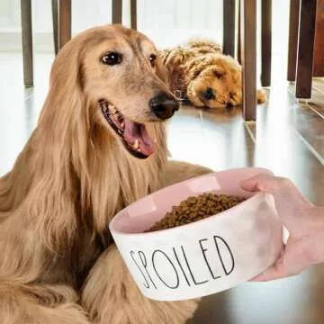 WoofinPets 70OZ Heavy Duty Ceramic Dog Bowl