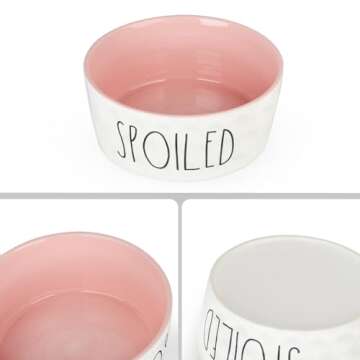 WoofinPets 70OZ Heavy Duty Ceramic Dog Bowl