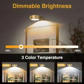 EUIOKUN Wireless Picture Light with Remote Control and Timer