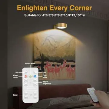 EUIOKUN Wireless Picture Light with Remote Control and Timer