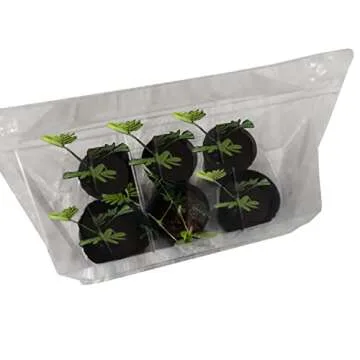 Zombie Plant Greenhouse Grow KIT- (Touch It and It Plays Dead!) Unique Nature Kit- Grow a House Plant That Plays Dead When You Touch It! Comes Back to Life in Minute. Fun STEM and Classroom Activity!