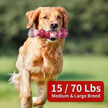 RANTOJOY Tough Dog Chew Toy for Large Dogs Aggressive Chewers, Dog Toys, Squeaky Dog Toys for Medium Large Breed, Durable Nylon Dog Toy for Outdoor Training, Heavy Big Teething Toy for Dog Gift