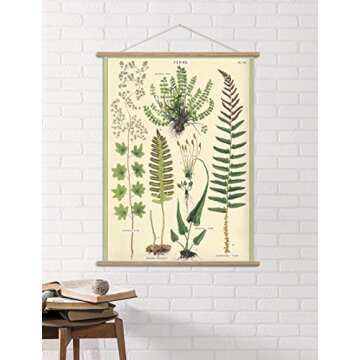Cavallini Papers & Co., Inc. Cavallini Vintage Fern Hanging Poster Kit, Multicolor