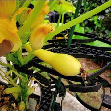 Mighty Crop Plant Support for Vertical Gardening – Pack of 4