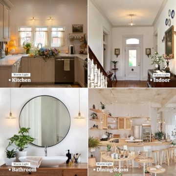 Shenmoyl Adjustable Pendant Light - Vintage Amber Glass