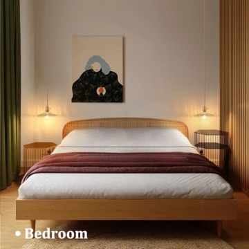 Shenmoyl Adjustable Pendant Light - Vintage Amber Glass