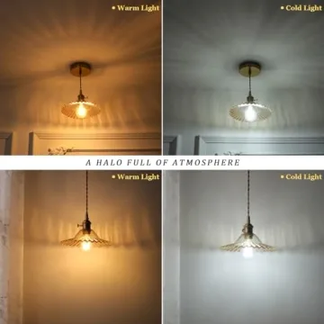 Shenmoyl Adjustable Pendant Light - Vintage Amber Glass