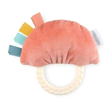 Itzy Ritzy - Ritzy Rattle Pal with Teether - Baby Teething Toy Features A Minky Plush Character, Gentle Rattle Sound & Soft Teether Toy for Newborn (Rainbow)