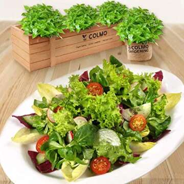 Indoor Herb Garden Kit - Herb Garden Kits for Adults Kitchen Growing Starter Window Garden Growing Kit Kitchen Indoor Gardening Set