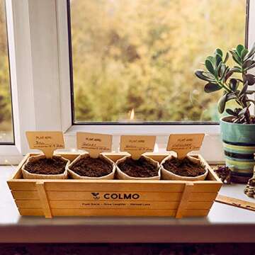 Indoor Herb Garden Kit - Herb Garden Kits for Adults Kitchen Growing Starter Window Garden Growing Kit Kitchen Indoor Gardening Set