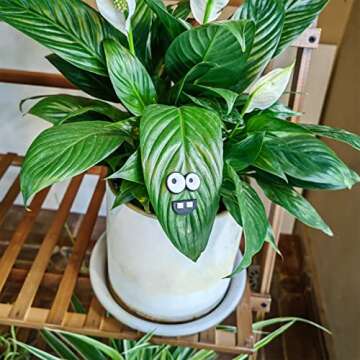 HOMDSG Monster Plant Magnets for Fun Plant Decor