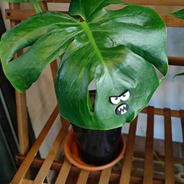 HOMDSG Monster Plant Magnets for Fun Plant Decor