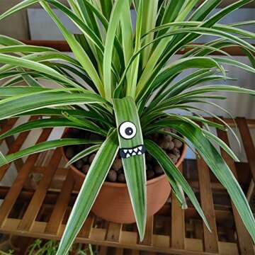 HOMDSG Monster Plant Magnets for Fun Plant Decor