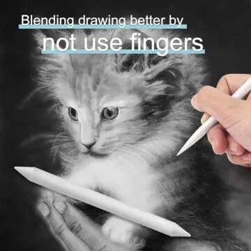 Jeimier 20PCS Blending Stumps for Sketching & Drawing
