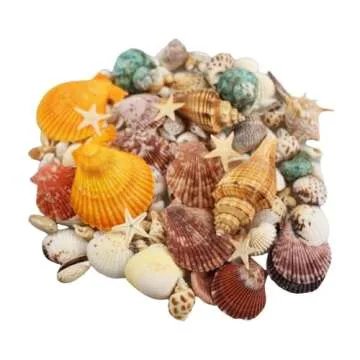 135 PCS Sea Shells Mixed Beach Seashells Starfish, Colorful Various Sizes Natural Seashells for Craf...