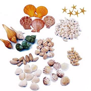135 PCS Sea Shells Mixed Beach Seashells Starfish, Colorful Various Sizes Natural Seashells for Crafts,Candle Making, Beach Theme Party Wedding Decor, Fish Tank