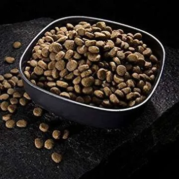 CRAVE Grain Free High Protein Adult Dry Dog Food with Lamb, 22 lb. Bag