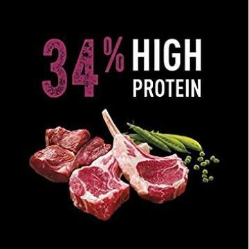 CRAVE Grain Free High Protein Adult Dry Dog Food with Lamb, 22 lb. Bag