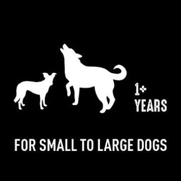 CRAVE Grain Free High Protein Adult Dry Dog Food with Lamb, 22 lb. Bag