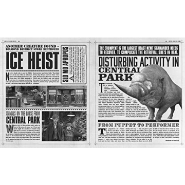 Fantastic Beasts Movie-Making News: Daily Prophet Style Book