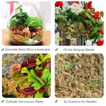 Halatool 6OZ Natural Sphagnum Moss for Plants 8 QT Premium Peat Moss Dried Long Fiber Orchid Moss for Orchid Repotting Carnivorous Succulents Garden Flowers Crafts Terrarium and Reptiles