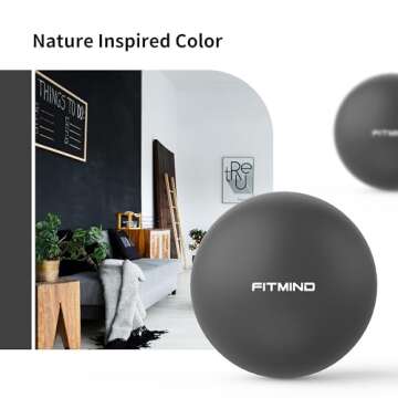 FITMIND 10 Inch Pilates Ball for Core and Fitness Workouts