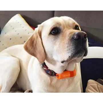 Weems & Plath CREW2 CrewWatcher for Safe Boating