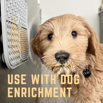 All Natural Dog Peanut Butter - Set of 3 Healthy Treats