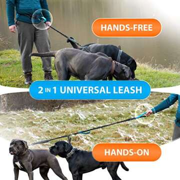 Hands-Free Dual Dog Leash with Padded Handles for Large Dogs