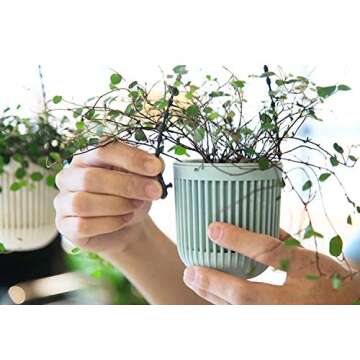 Melphoe 3.5‘’ Two-Piece Succulent Planters Pots with Drainage, Flexible Removable Handle, Flower...