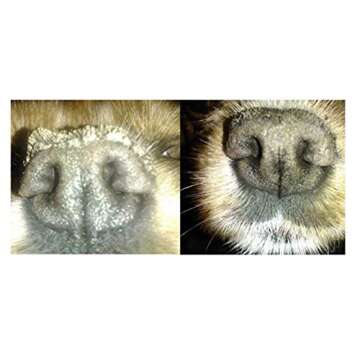 Snout Magic Mini: 100% All Natural Dog Nose Butter & Balm (.15 oz) Soothes Dry & Cracked Dog Snouts Like Magic! Proven to Cure Dog's Dry Rough Crusty Nose & Hyperkeratosis Made in USA (Pack of 1)