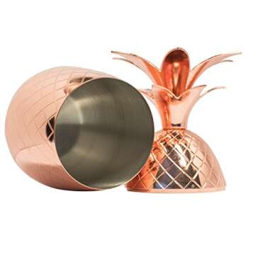BonBon Copper Pineapple Cup 2-Pack Tumbler With Copper Straw, 17 OZ (Set of 2)
