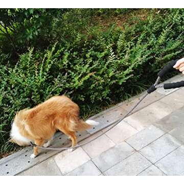 MayPaw Heavy Duty Rope Dog Leash, 3/4/5/6/7/8/10/12/15 FT Nylon Pet Leash, Soft Padded Handle Thick Lead Leash for Large Medium Dogs Small Puppy (1/2" 6ft, Black-red dot)