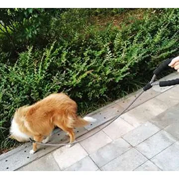 MayPaw Heavy Duty Rope Dog Leash, 3/4/5/6/7/8/10/12/15 FT Nylon Pet Leash, Soft Padded Handle Thick Lead Leash for Large Medium Dogs Small Puppy (1/2" 6ft, Black-red dot)